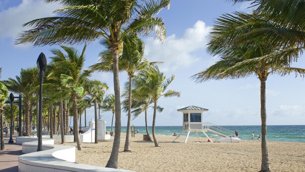Une plage bordée de palmiers, une tour de surveillance pour les sauveteurs et une promenade sinueuse.