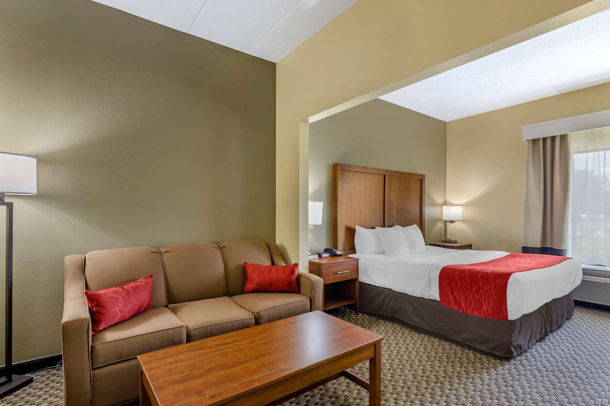 Chambre Standard, 1 très grand lit, non-fumeur