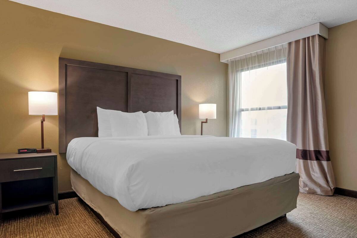 A neatly made bed with white linens, a dark headboard, and two bedside lamps.