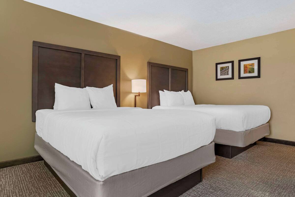 A hotel room with two beds, a nightstand, a lamp, and two framed pictures on the wall.