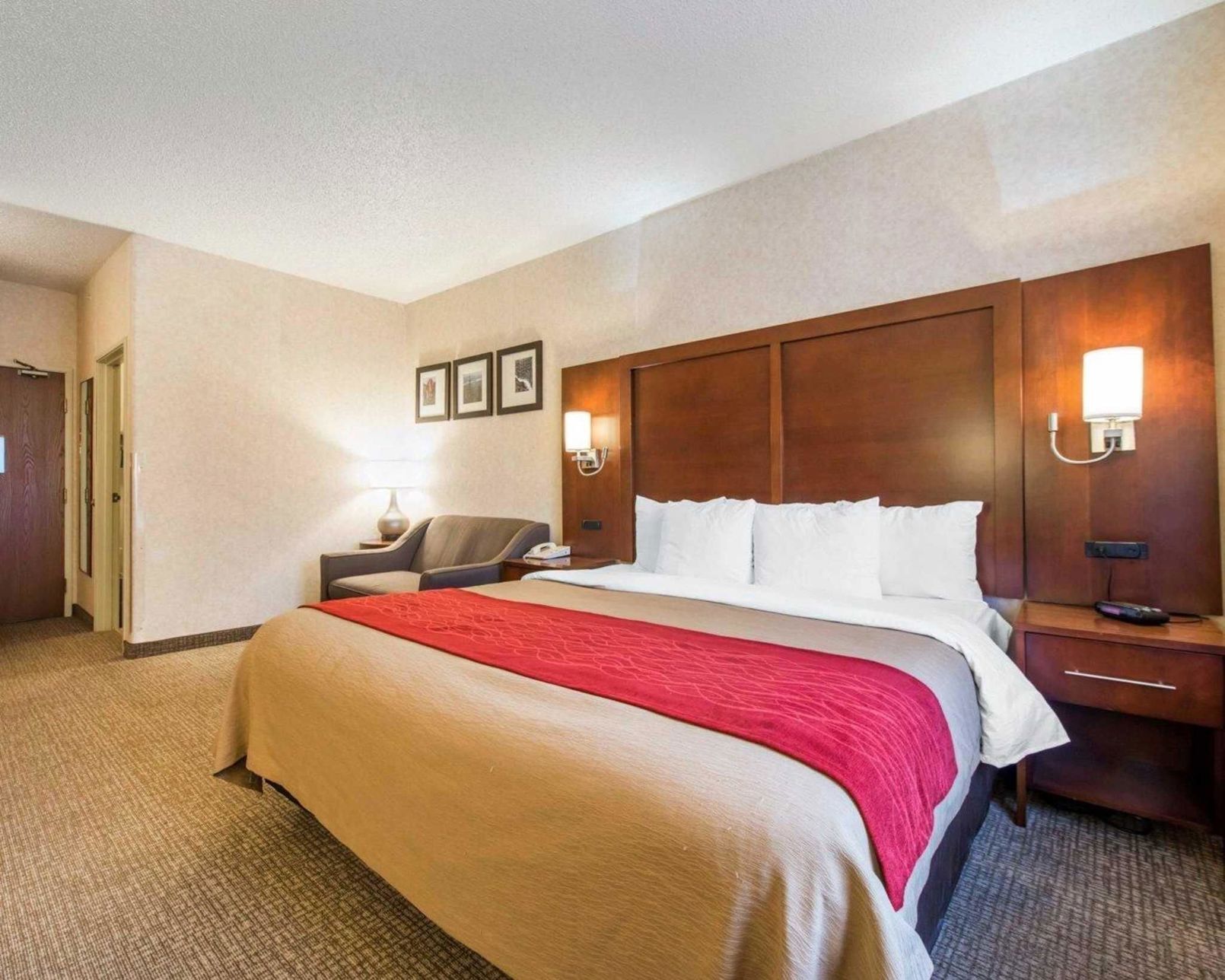 Down comforters, in-room safe, desk, blackout drapes