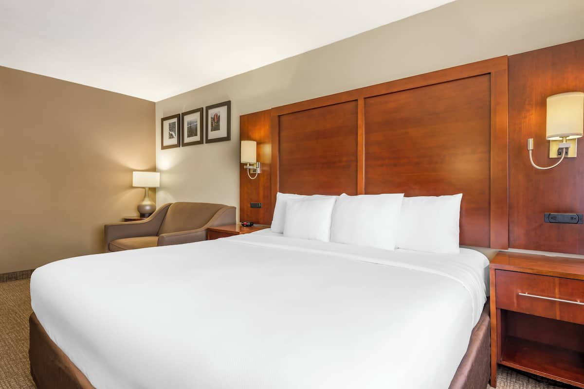 Standard-Suite, 1 King-Bett und Schlafsofa, Nichtraucher | Daunenbettdecken, Zimmersafe, Schreibtisch, Verdunkelungsvorhänge