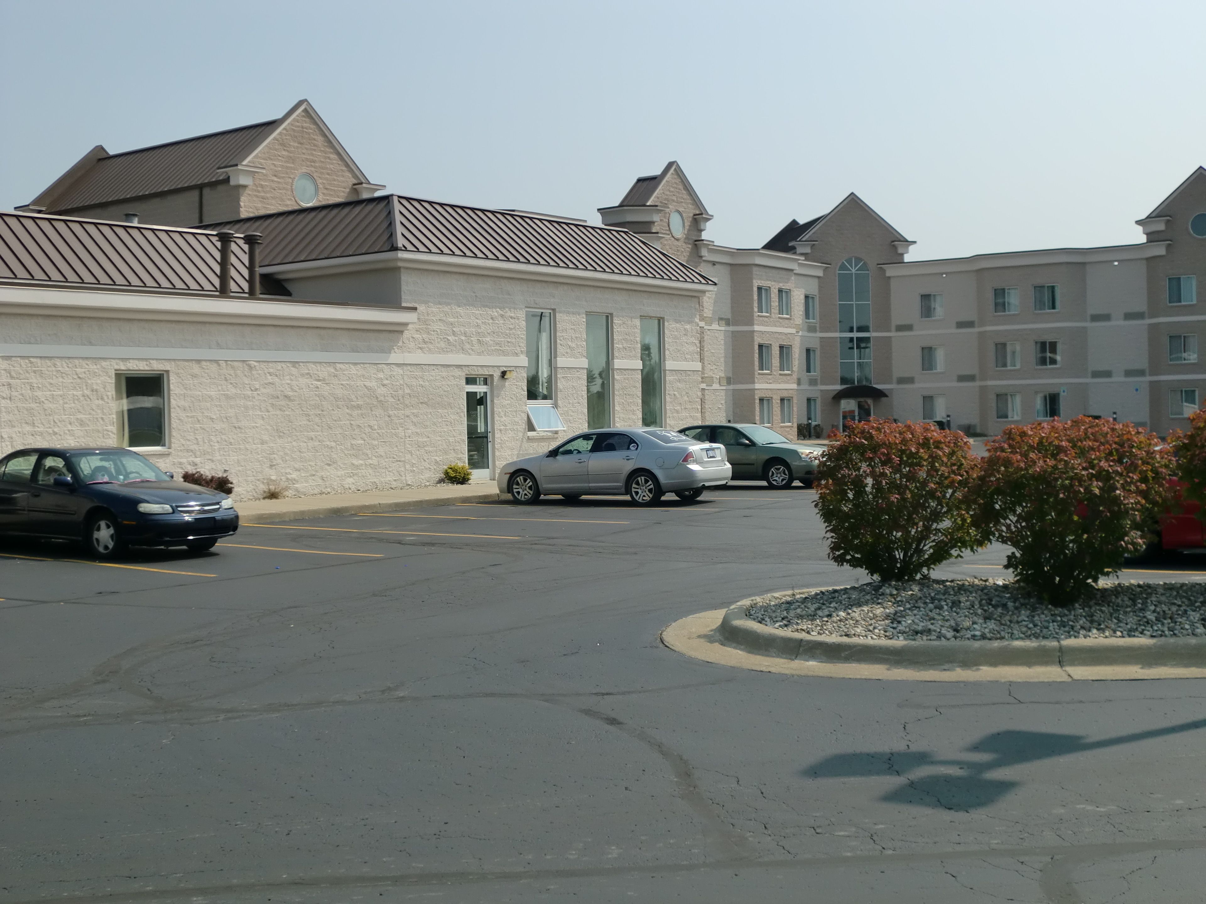 A parking lot with several cars, a building with a stone facade, and a small tree with pink leaves.