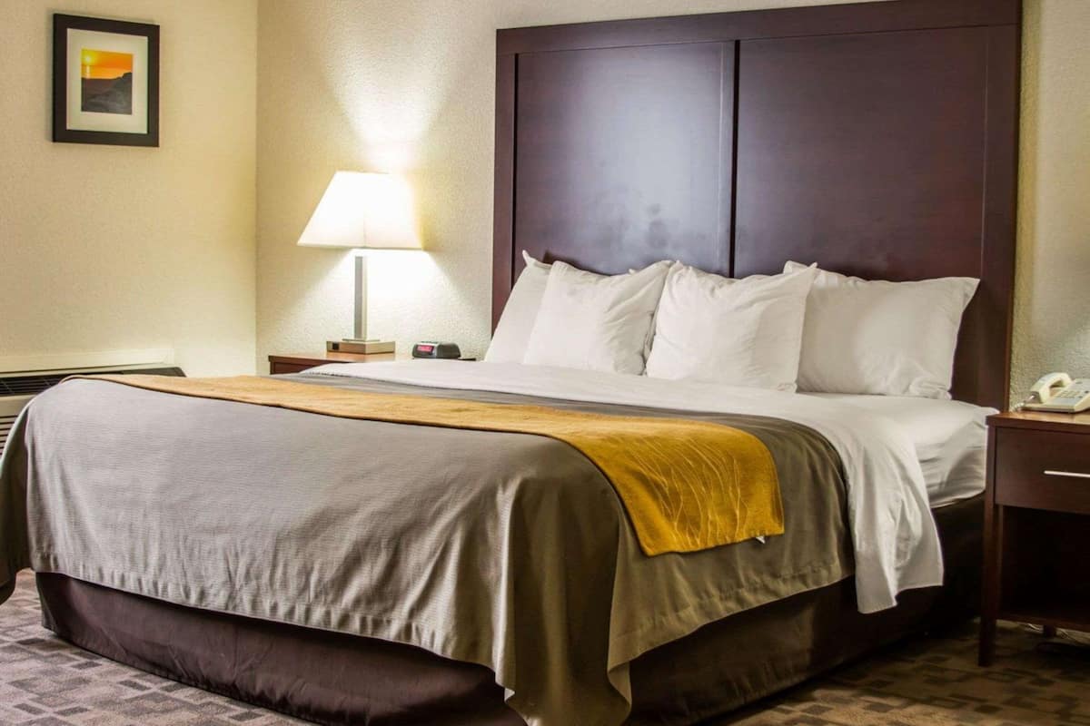 Suite, 1 Bedroom, Non Smoking