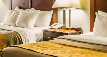 Comfort Inn Birch Run - Frankenmuth