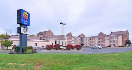 Comfort Inn Birch Run - Frankenmuth