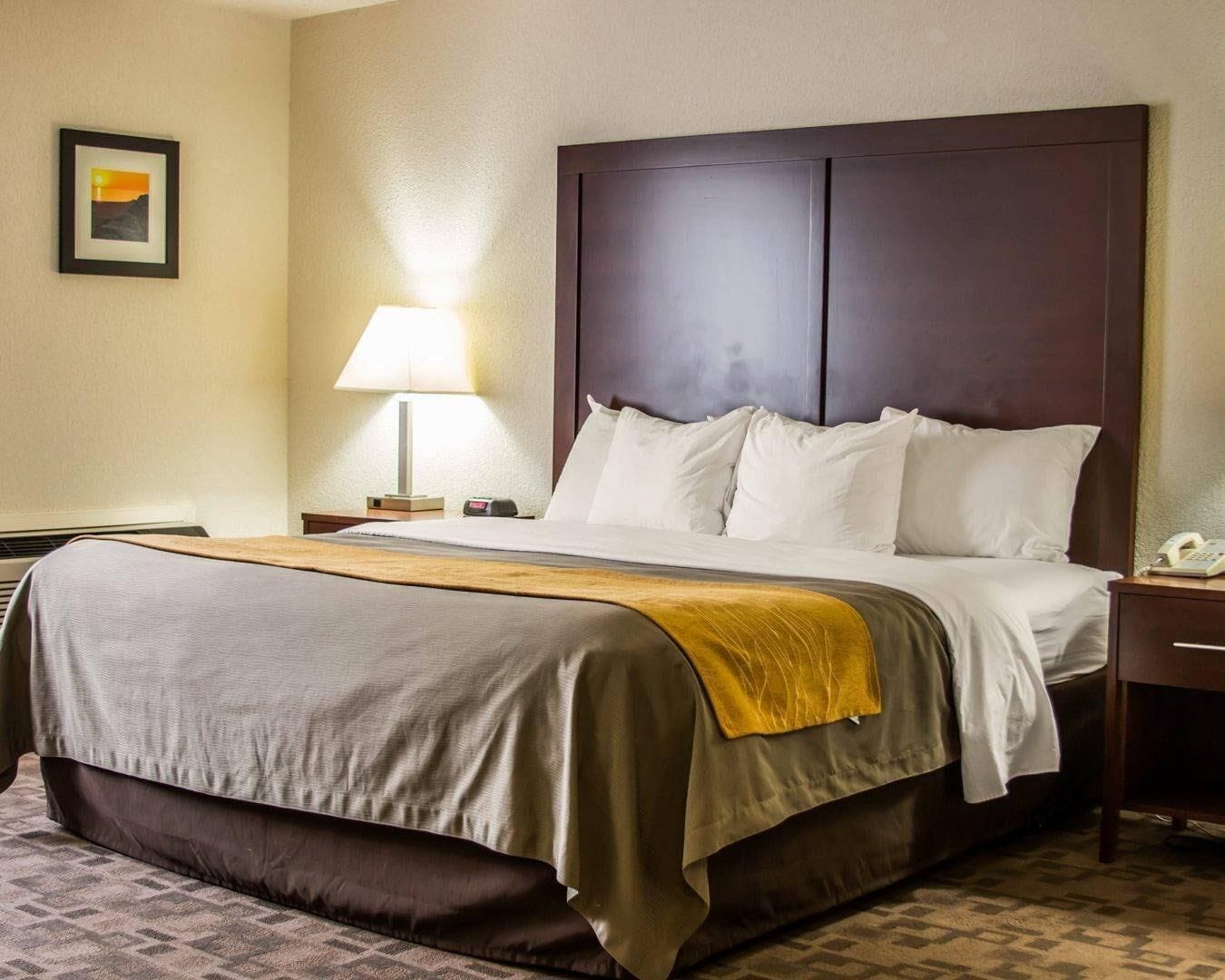 A hotel room with a large bed, a nightstand with a lamp, a phone, and a picture on the wall.