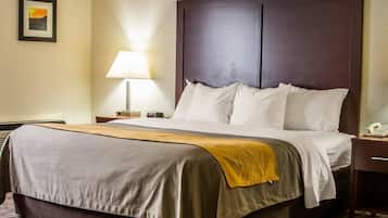 A hotel room with a large bed, a nightstand with a lamp, a phone, and a picture on the wall.