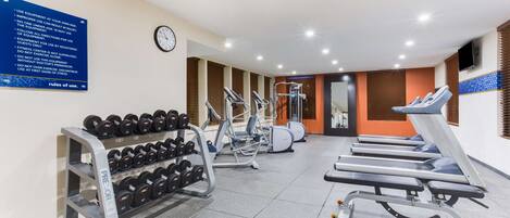 A gym with treadmills, dumbbells, and weight machines.
