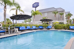 Relax by the pool surrounded by palm trees and lounge chairs.