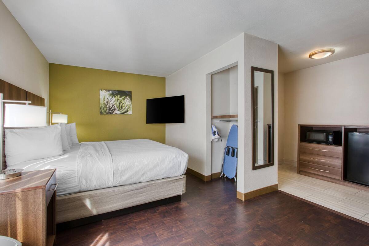 A hotel room with a bed, a television, a microwave, and a small kitchenette.
