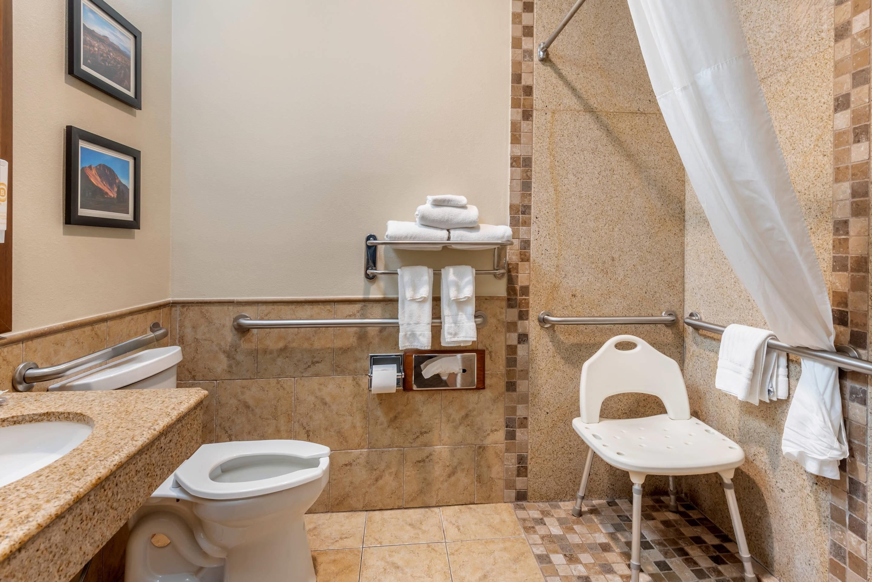 A bathroom with a toilet, sink, and shower area. There are handrails, a white chair, and towels on a rack.