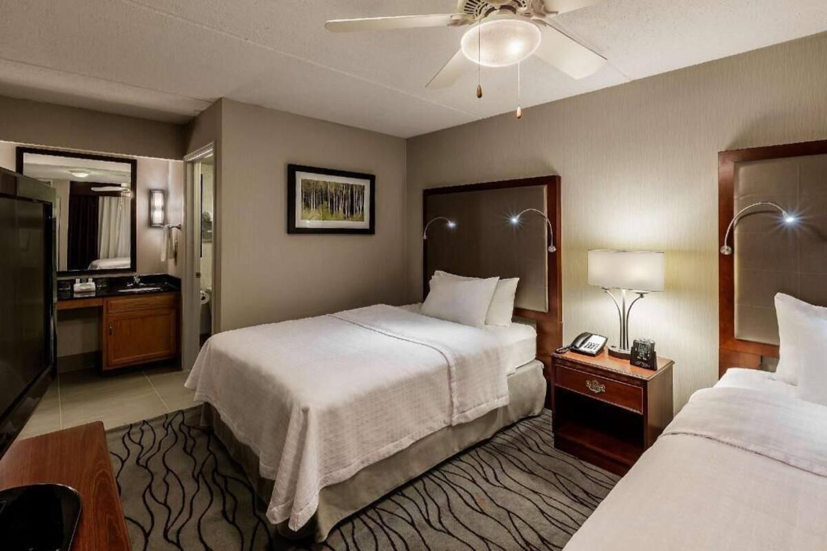 A hotel room with a bed, bedside table, lamp, and a ceiling fan.