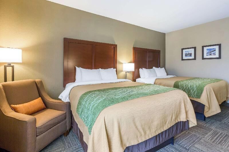 Down comforters, in-room safe, desk, blackout drapes