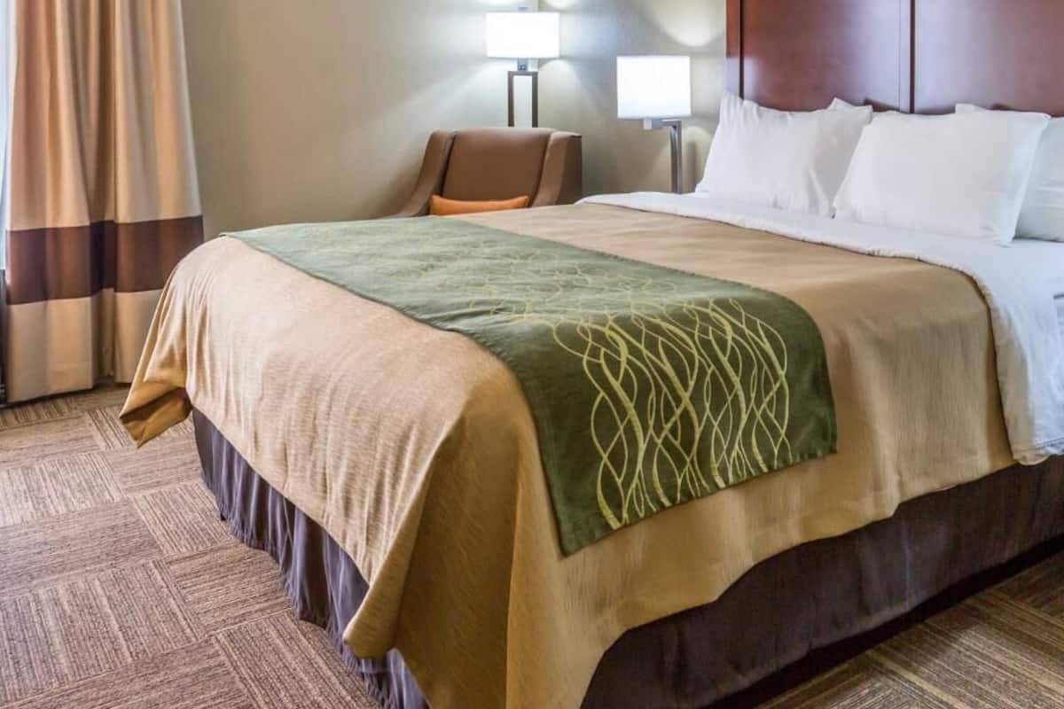 Down comforters, in-room safe, desk, blackout drapes