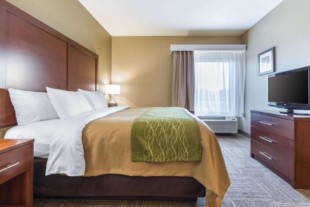 Down comforters, in-room safe, desk, blackout drapes