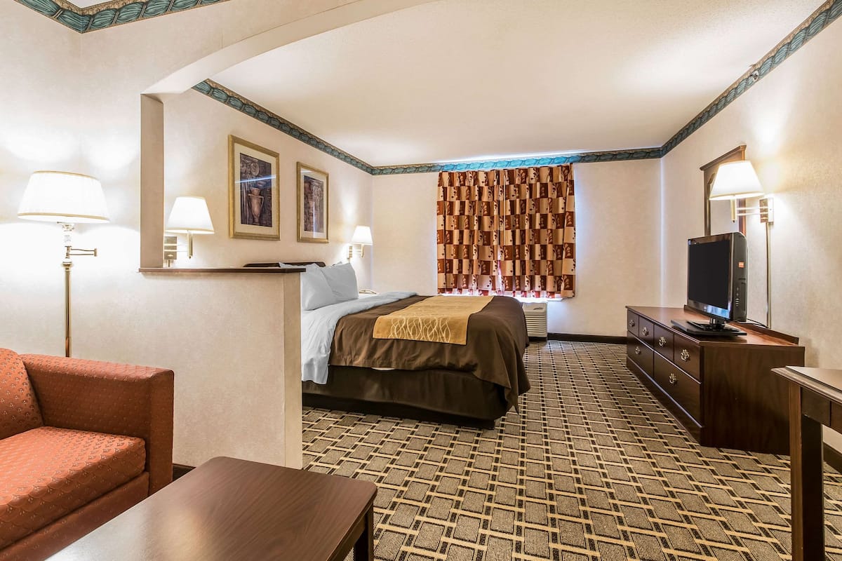 A hotel room with a bed, a sofa, a desk, a television, and a patterned carpet.