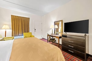 Una habitación de hotel con una cama, un escritorio, una silla, un televisor y un armario.