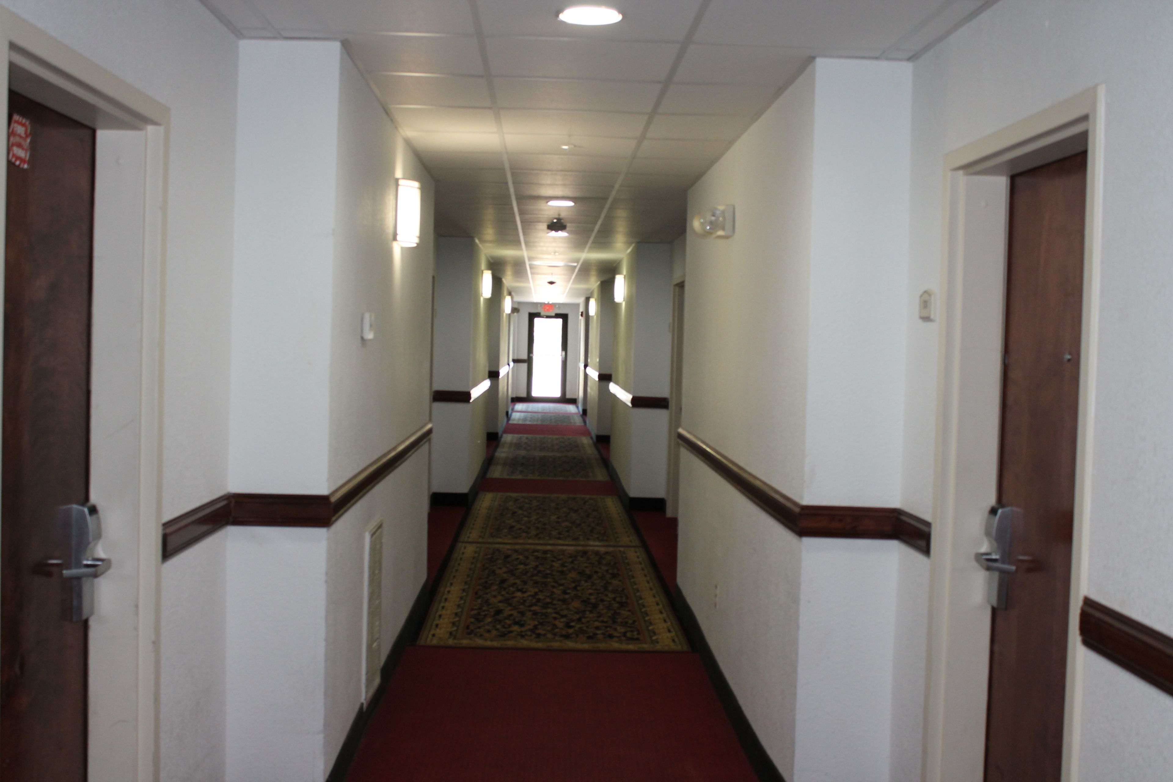 A hotel hallway with carpeted floors, doors on both sides, and a carpet runner in the center.