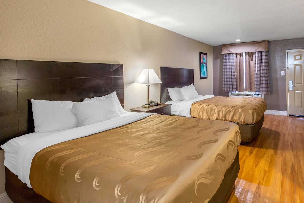 A hotel room with two beds, a nightstand with a lamp, a window with curtains, and a door.