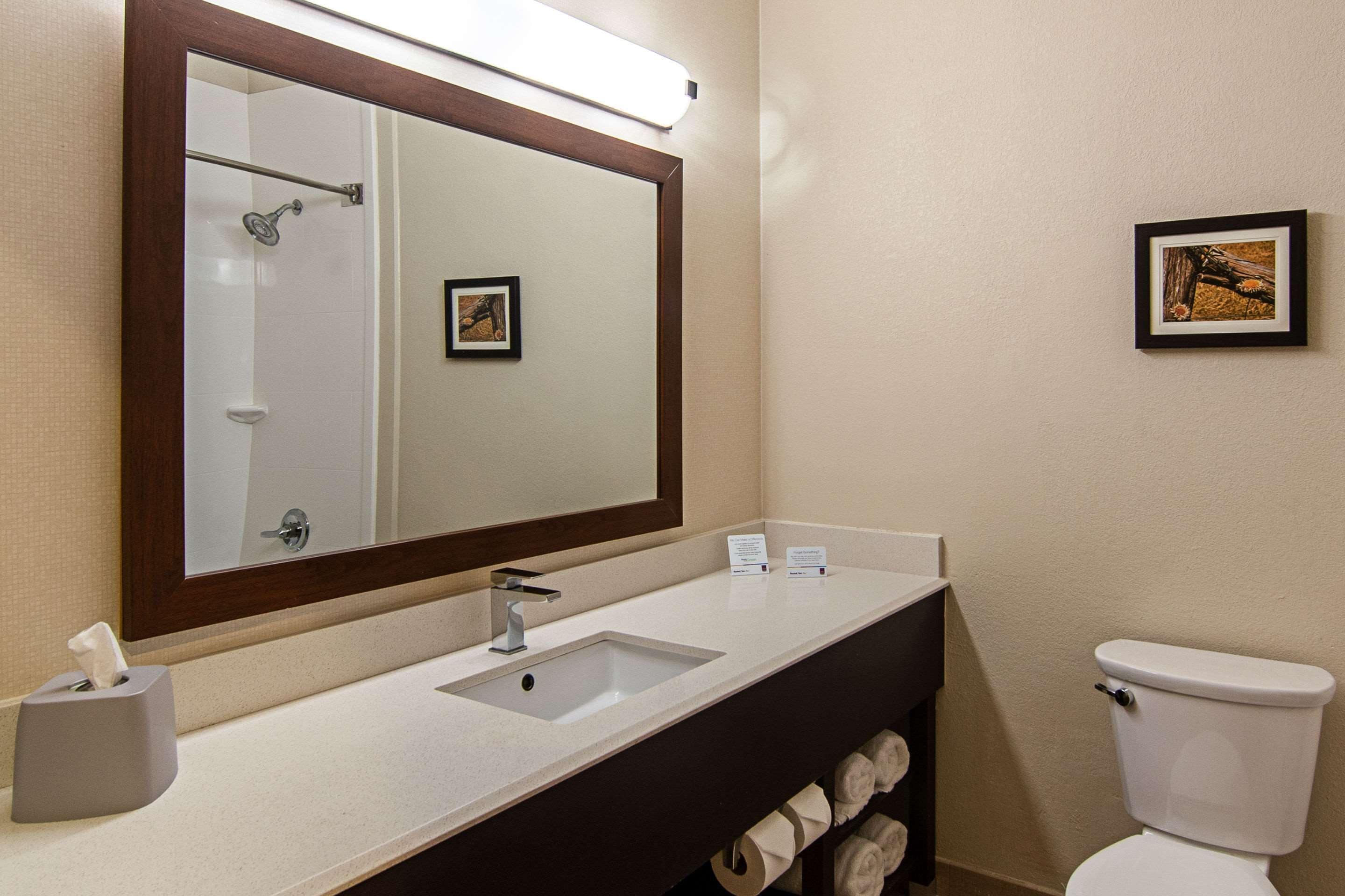 A bathroom with a sink, mirror, and toilet.