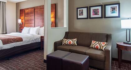 Comfort Suites NW Dallas Near Love Field