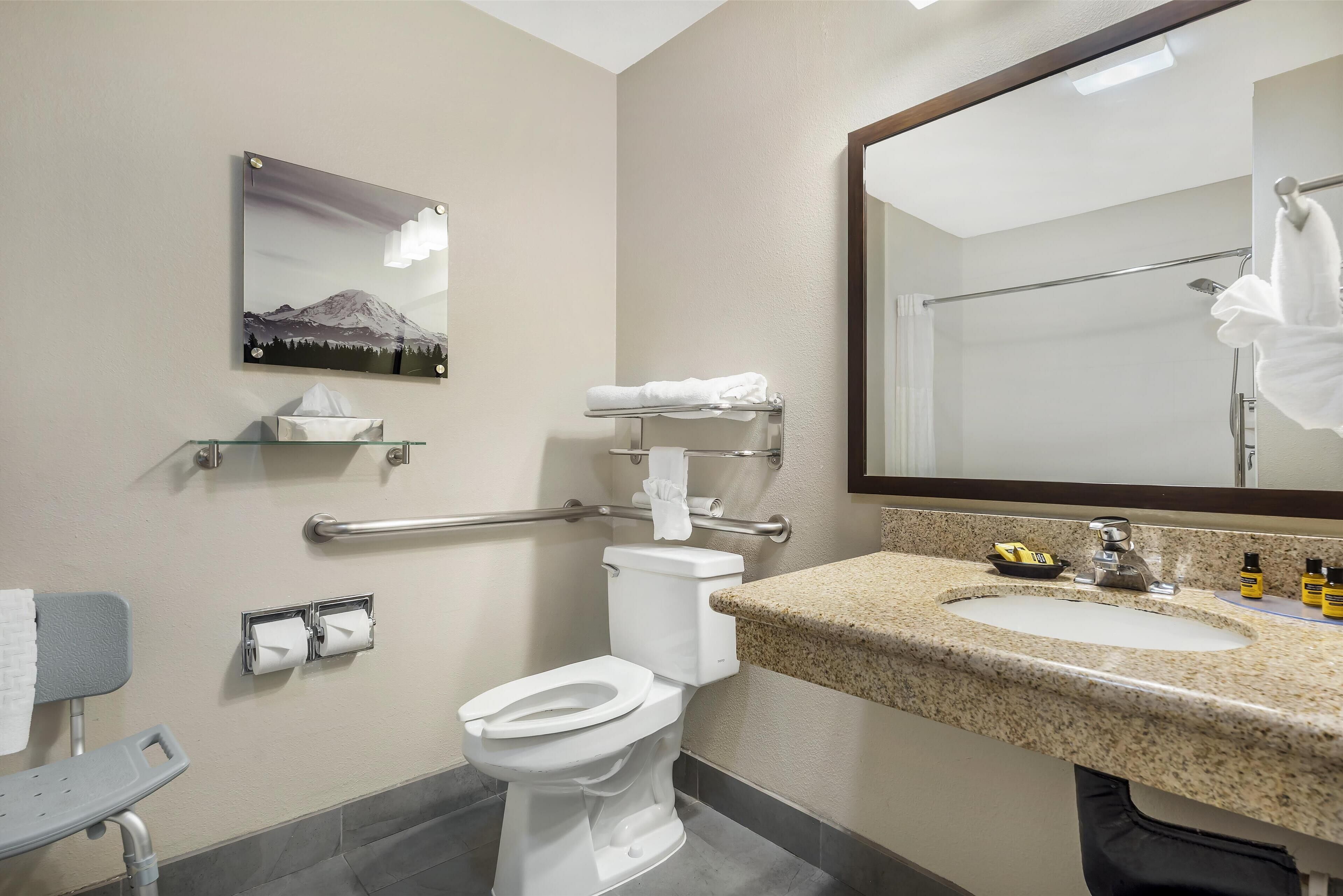 A bathroom with a toilet, sink, mirror, towel rack, and a picture of a mountain.