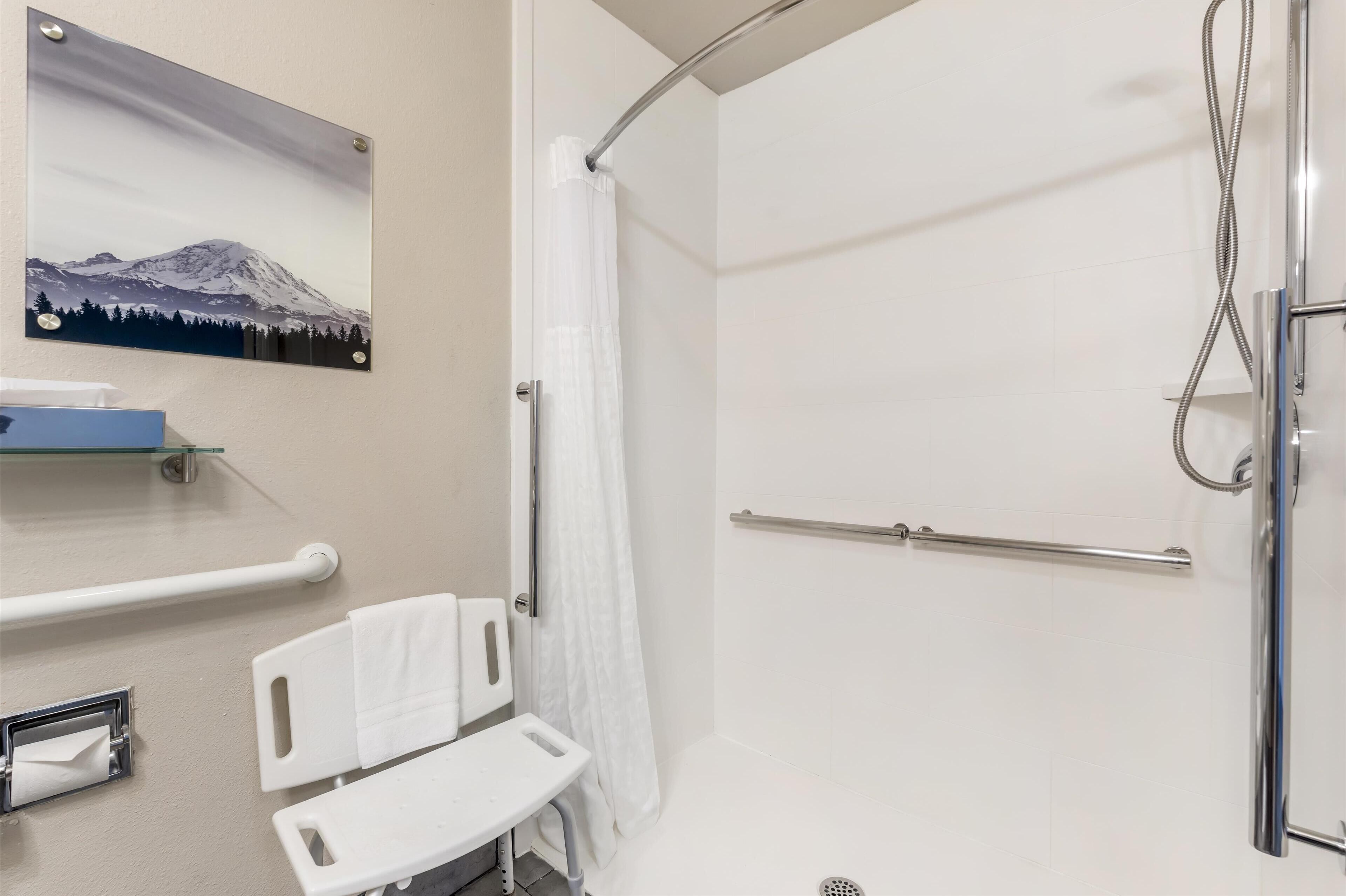 Ein modernes Badezimmer mit Dusche, einer Haltestange, einer Toilette mit Sicherheitsbügel und einem Wandbild von einem Berg.