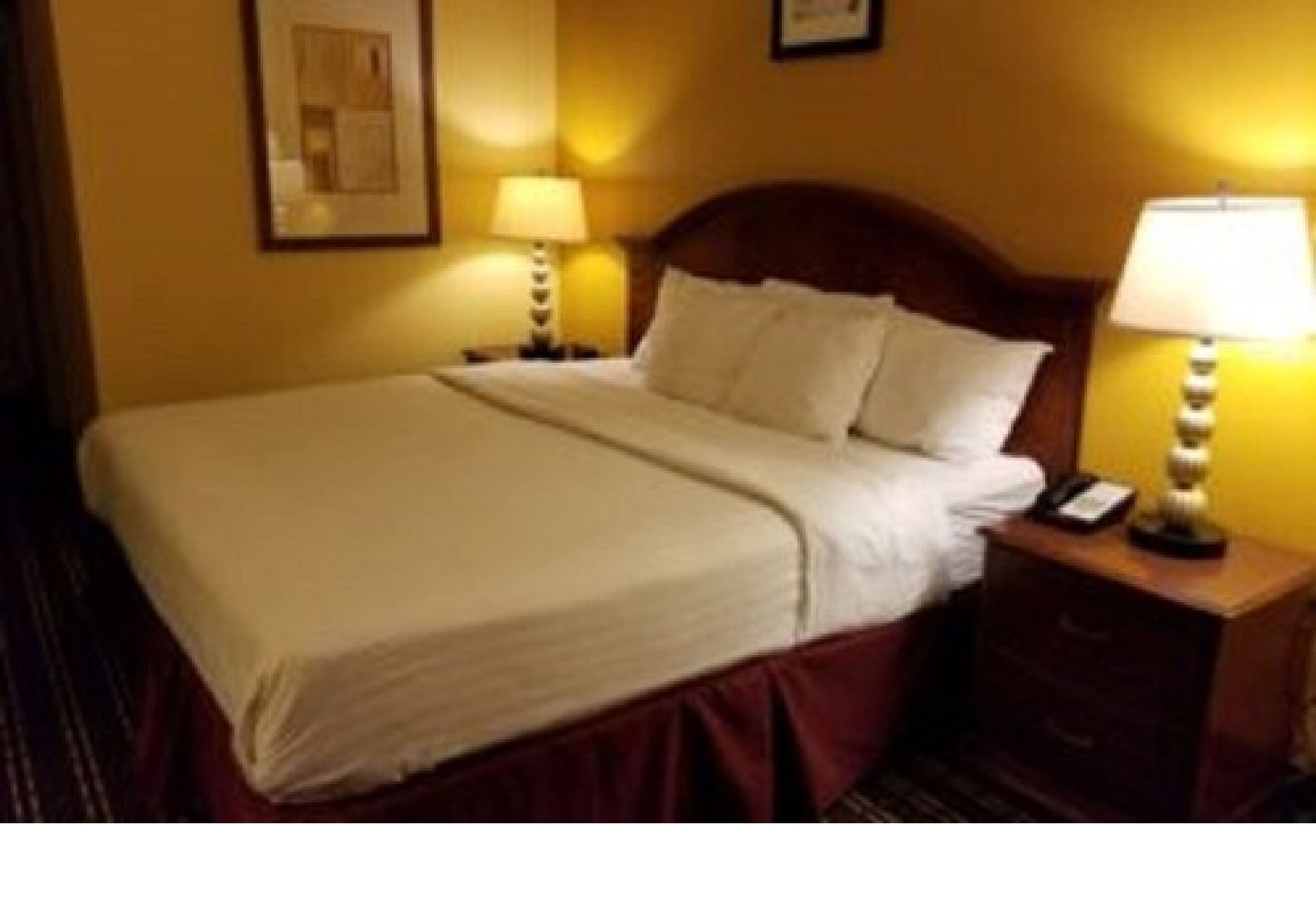 standard room, 1 king bed | premium bedding, memory-foam beds, in-room safe, desk