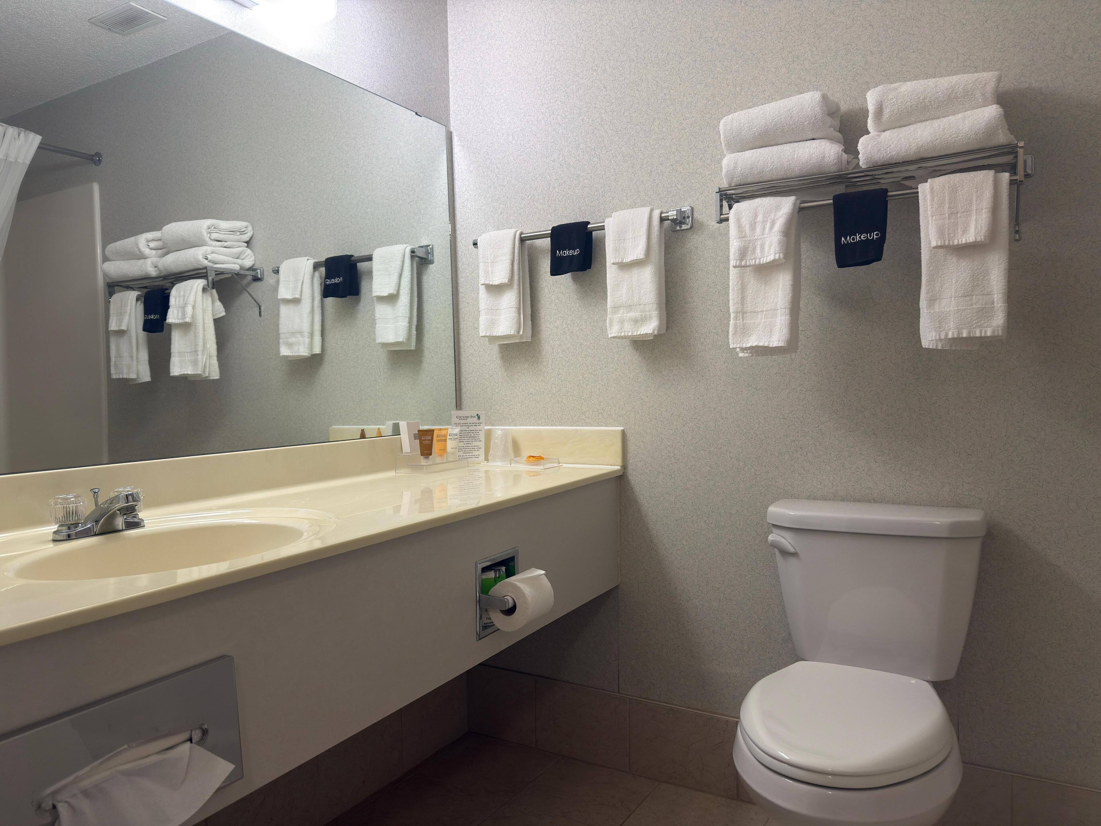 combined shower/bathtub, free toiletries, hair dryer, towels