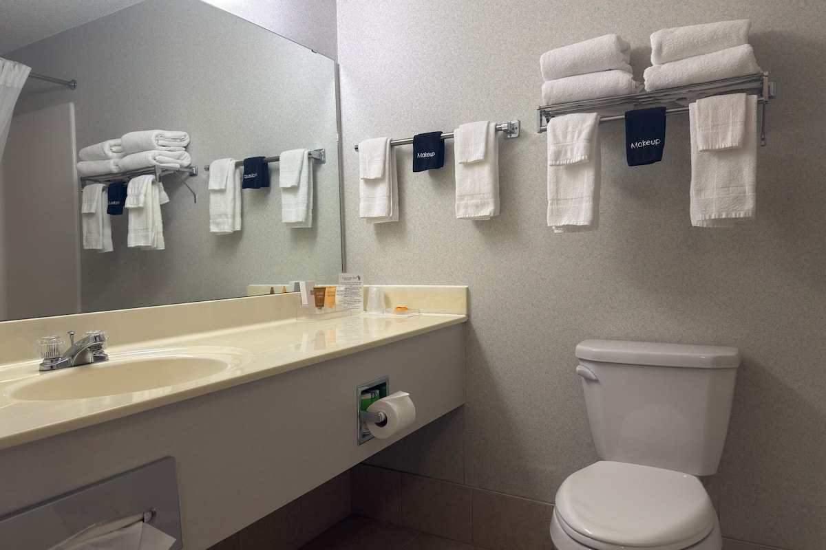 combined shower/bathtub, free toiletries, hair dryer, towels