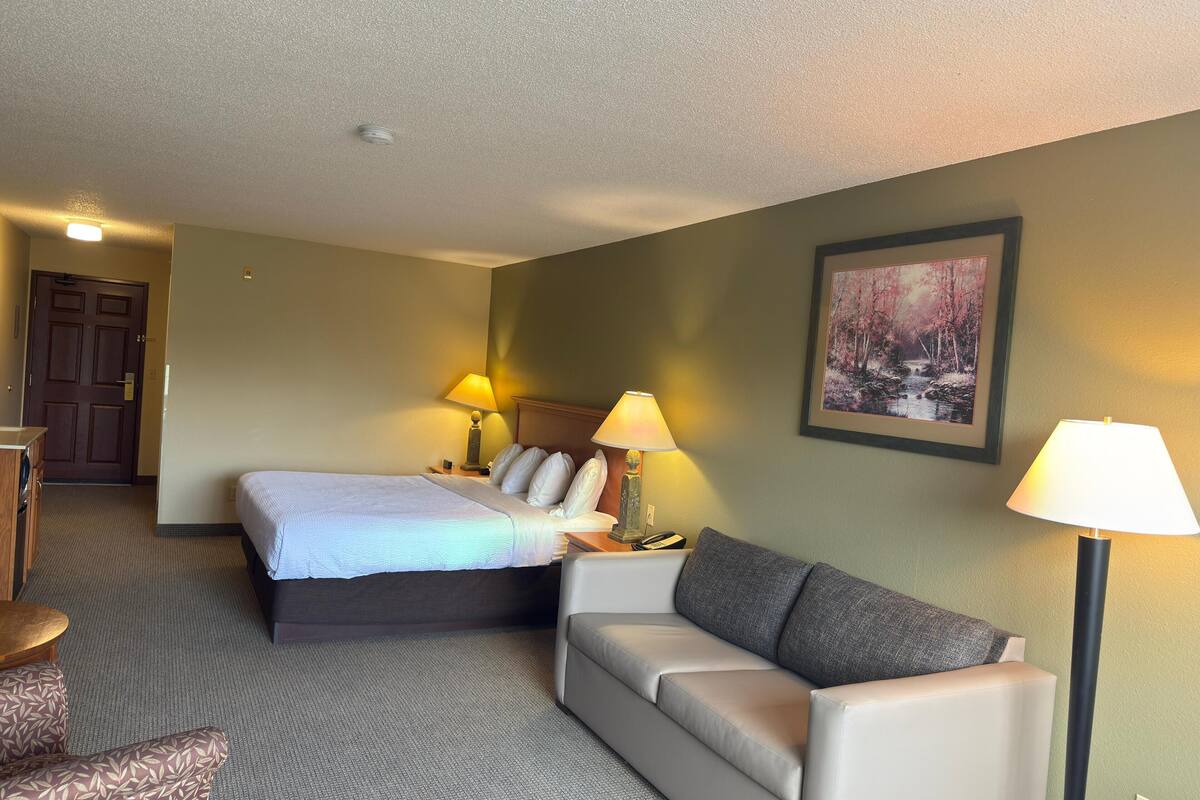 room, 1 king bed with sofa bed | premium bedding, individually furnished, laptop workspace