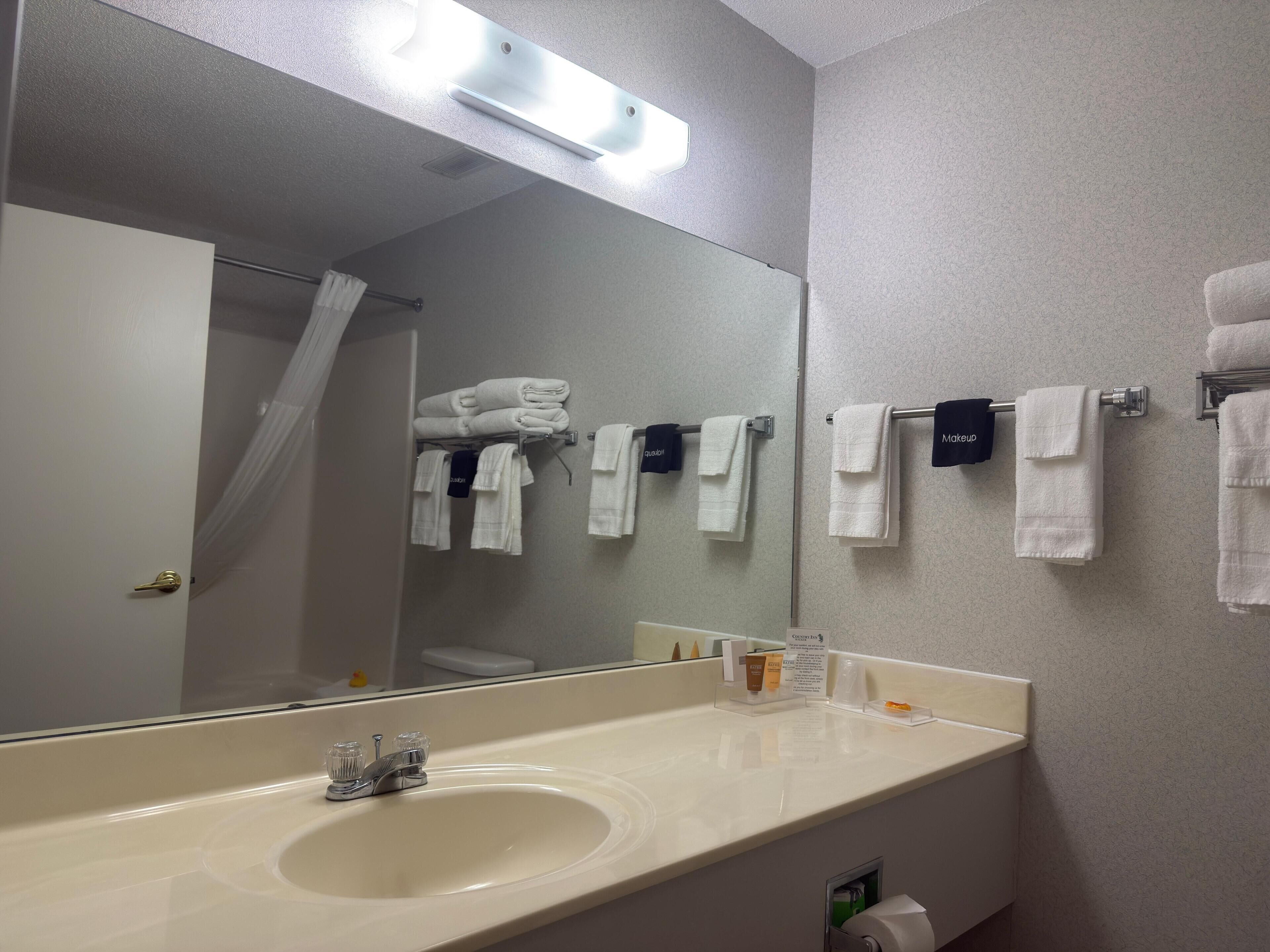 combined shower/bathtub, free toiletries, hair dryer, towels