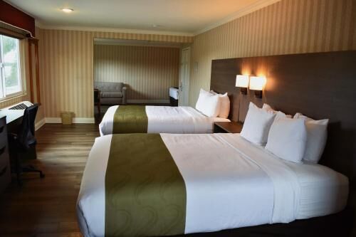 In-room safe, desk, blackout drapes, soundproofing