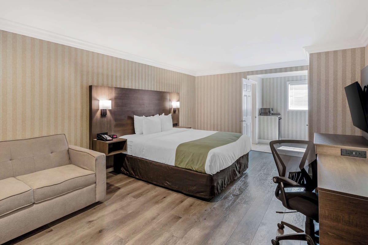 Standard Room, 1 King Bed, Sofa Bed, Non Smoking | Cofres nos quartos, escrivaninha, cortinas blackout