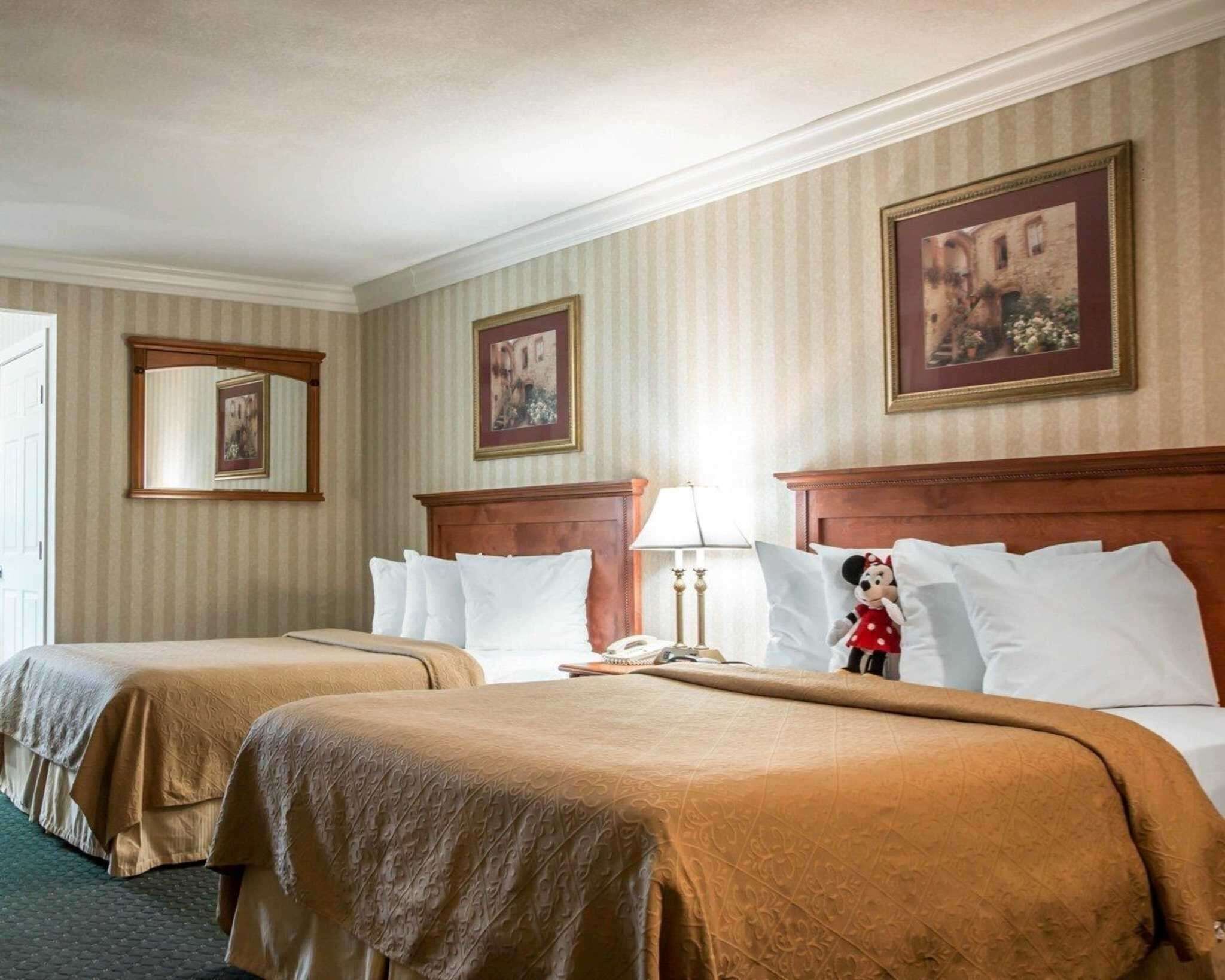 In-room safe, desk, blackout drapes, soundproofing