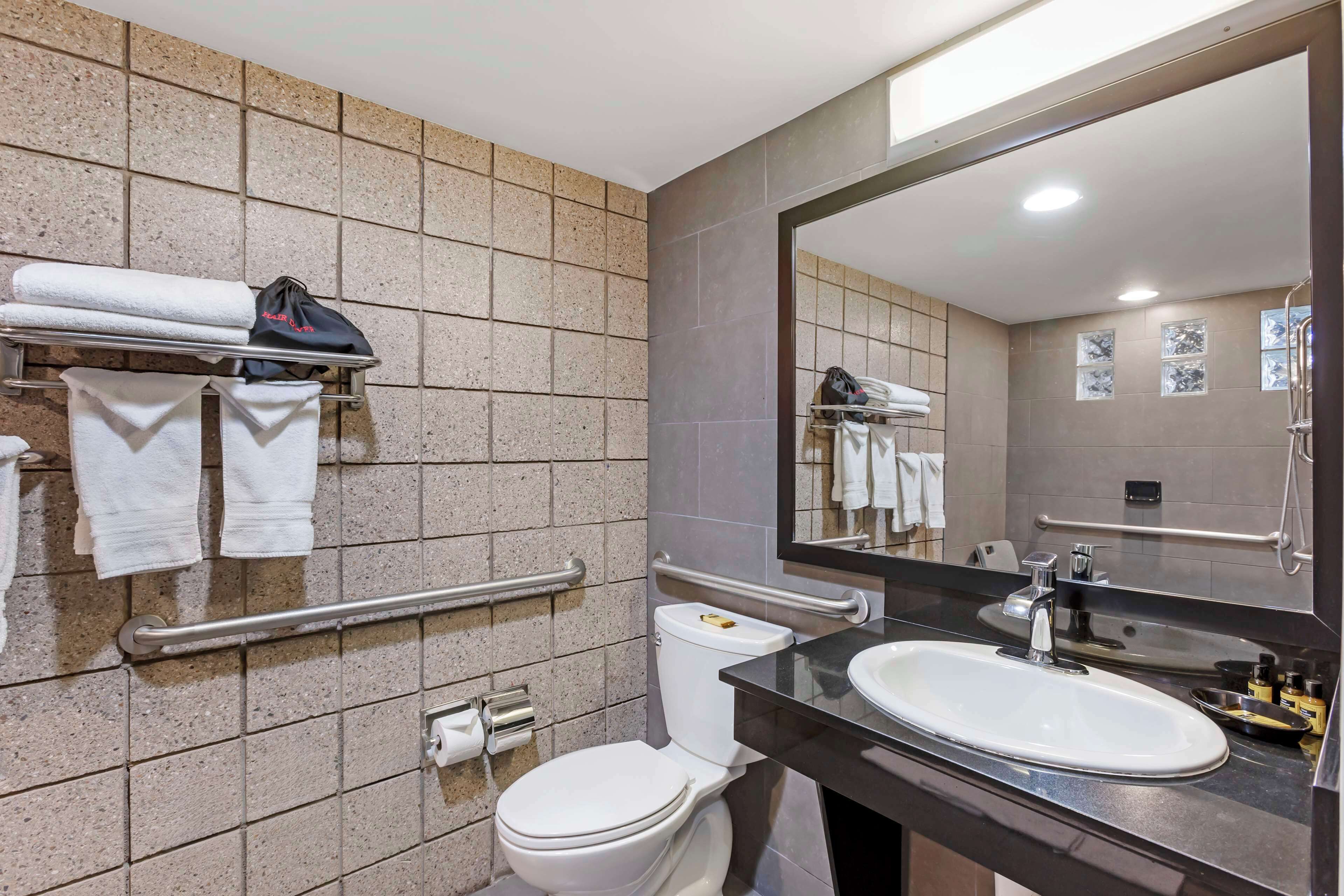 standard room, 1 king bed, accessible, non smoking | bathroom | free toiletries, hair dryer, towels, soap