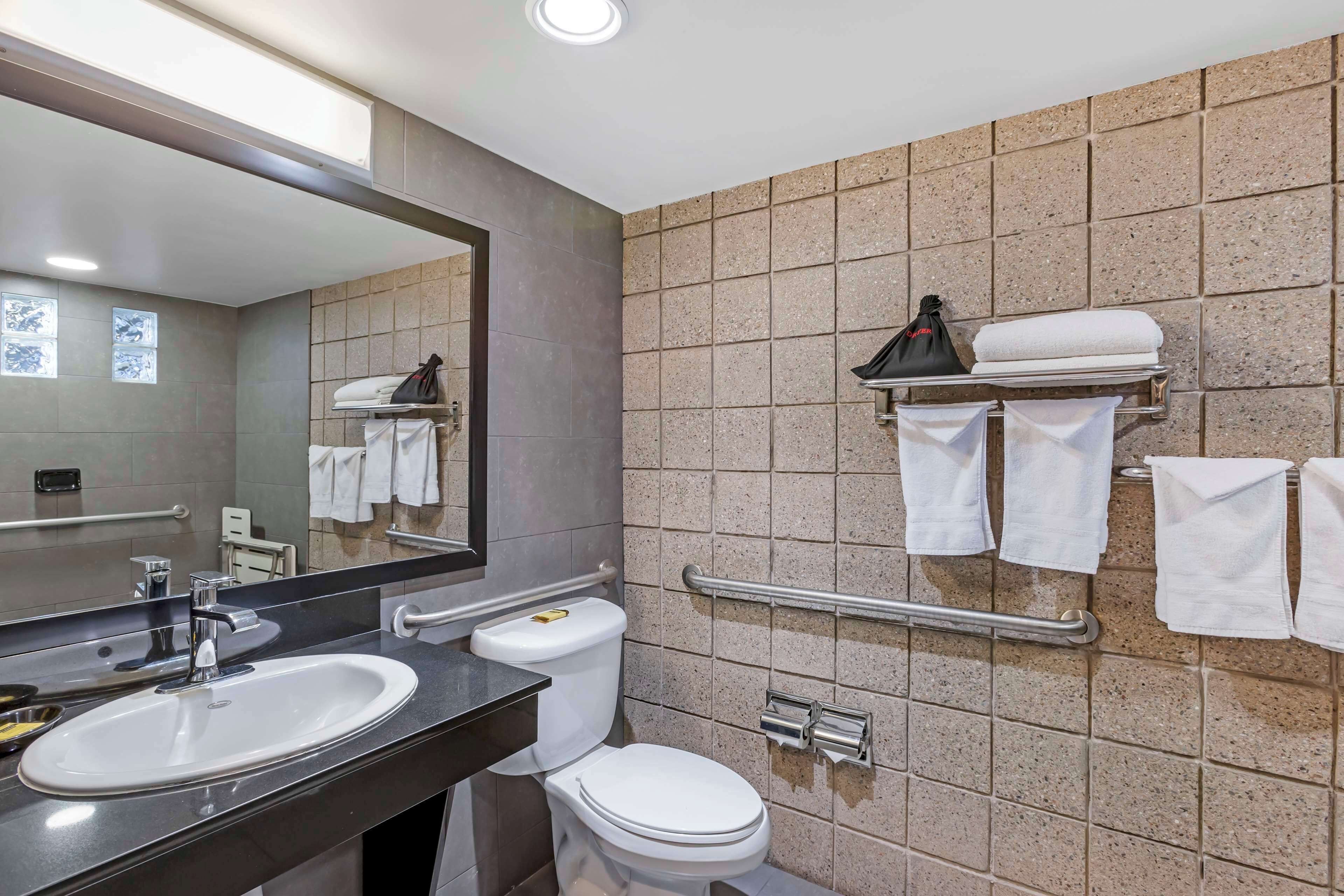 standard room, 1 queen bed, accessible, non smoking | bathroom | free toiletries, hair dryer, towels, soap