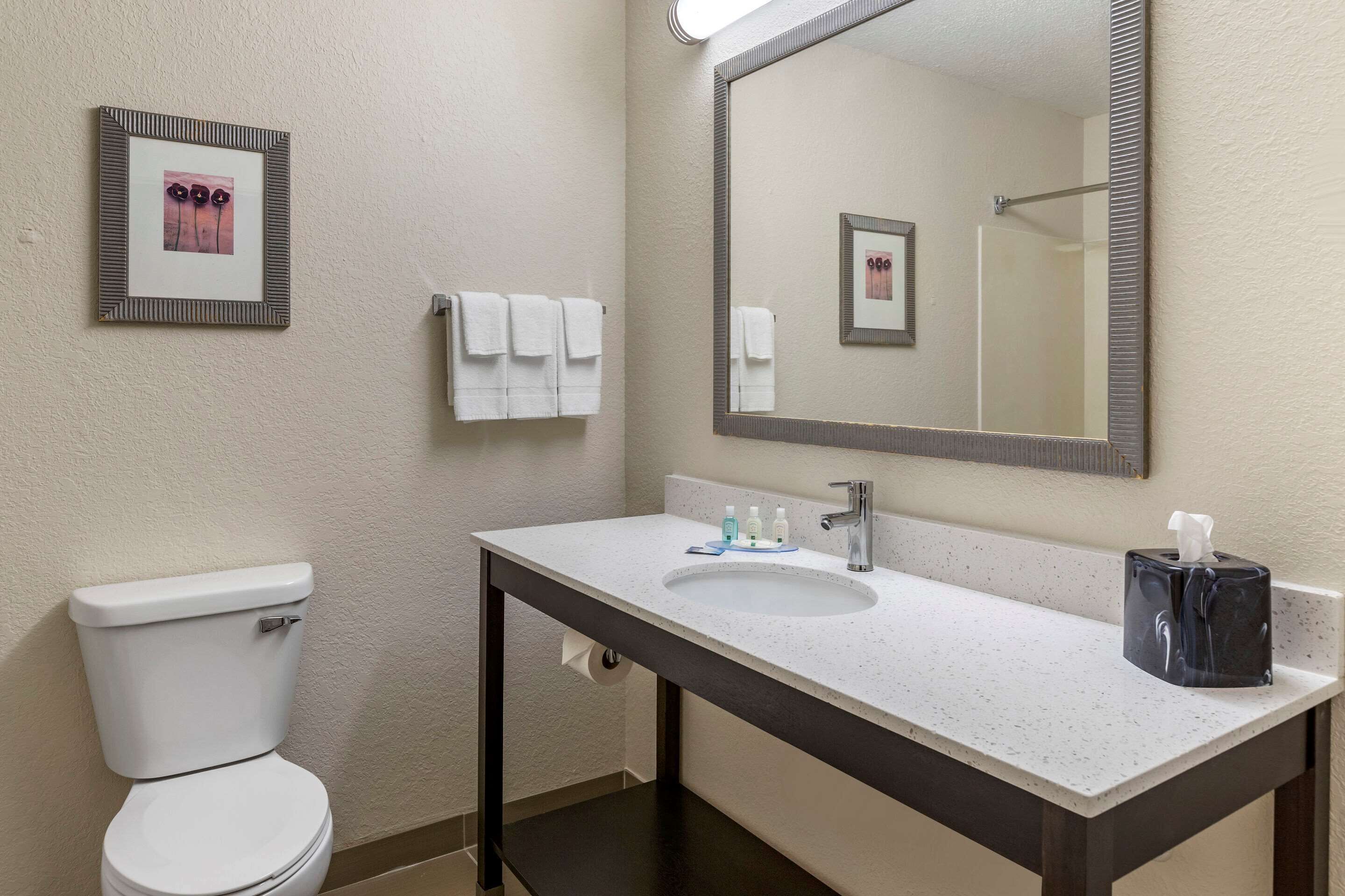 free toiletries, hair dryer, towels