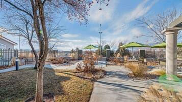 A paved pathway with green umbrellas, a tree, and a fenced area with benches.