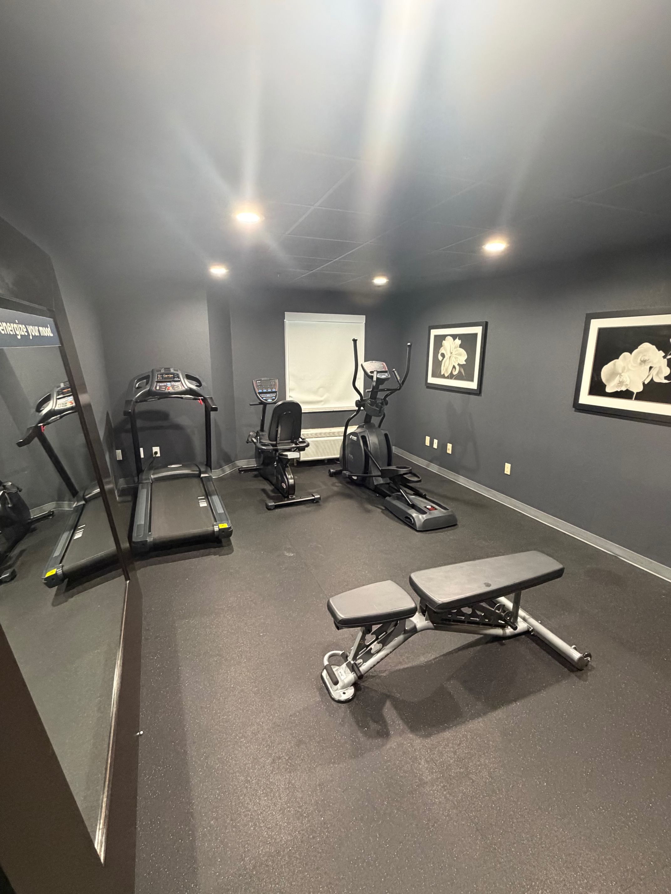Un gimnasio con cintas de correr, elípticas y un banco.