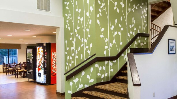 Un escalier recouvert d’une moquette à motifs et un mur orné d’un décor représentant des feuilles.