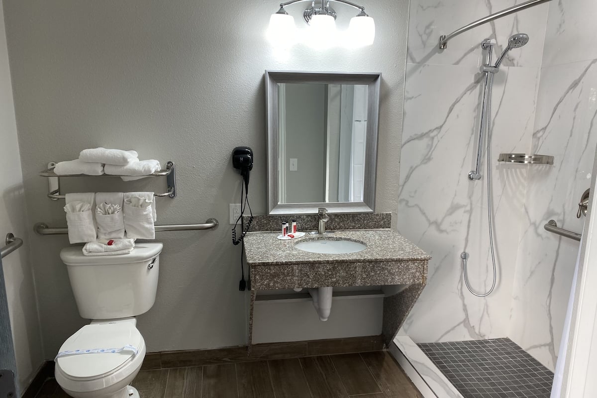 Ein Badezimmer mit Toilette, Waschbecken, Spiegel und Dusche.