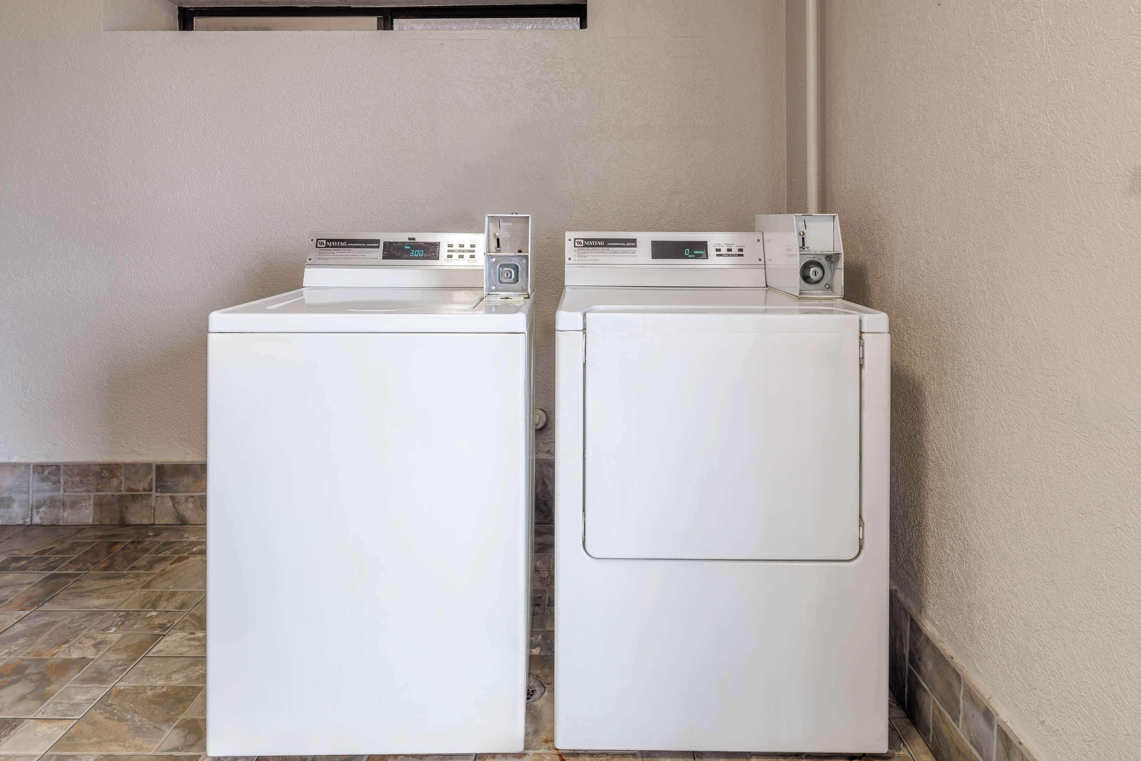 Deux machines à laver à chargement frontal, de couleur blanche, se trouvent dans une buanderie dont le sol est carrelé et les murs sont de couleur unie.