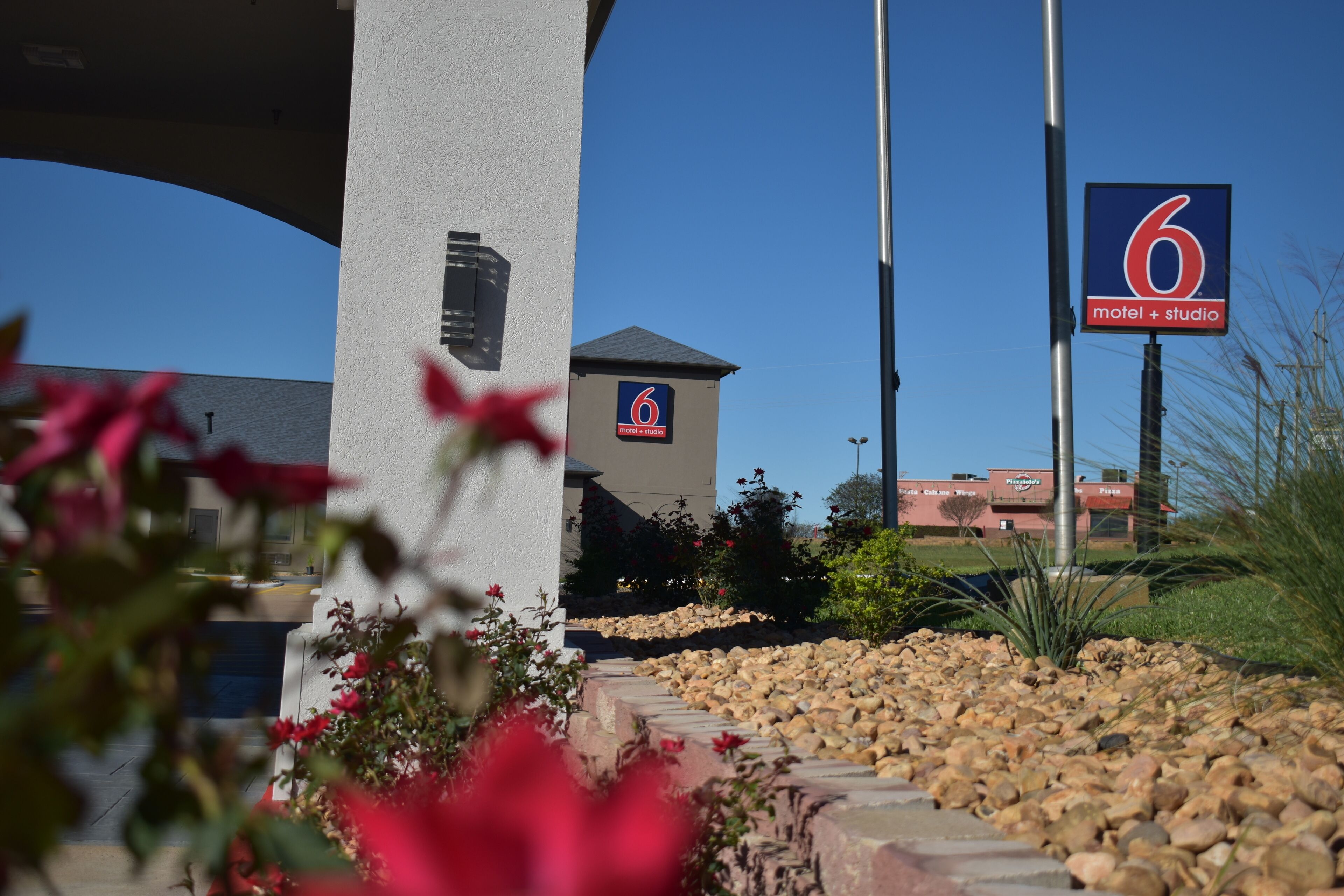 A motel sign with a number 6 and a 'motel + studio' label, surrounded by a landscaped area with rocks and plants.