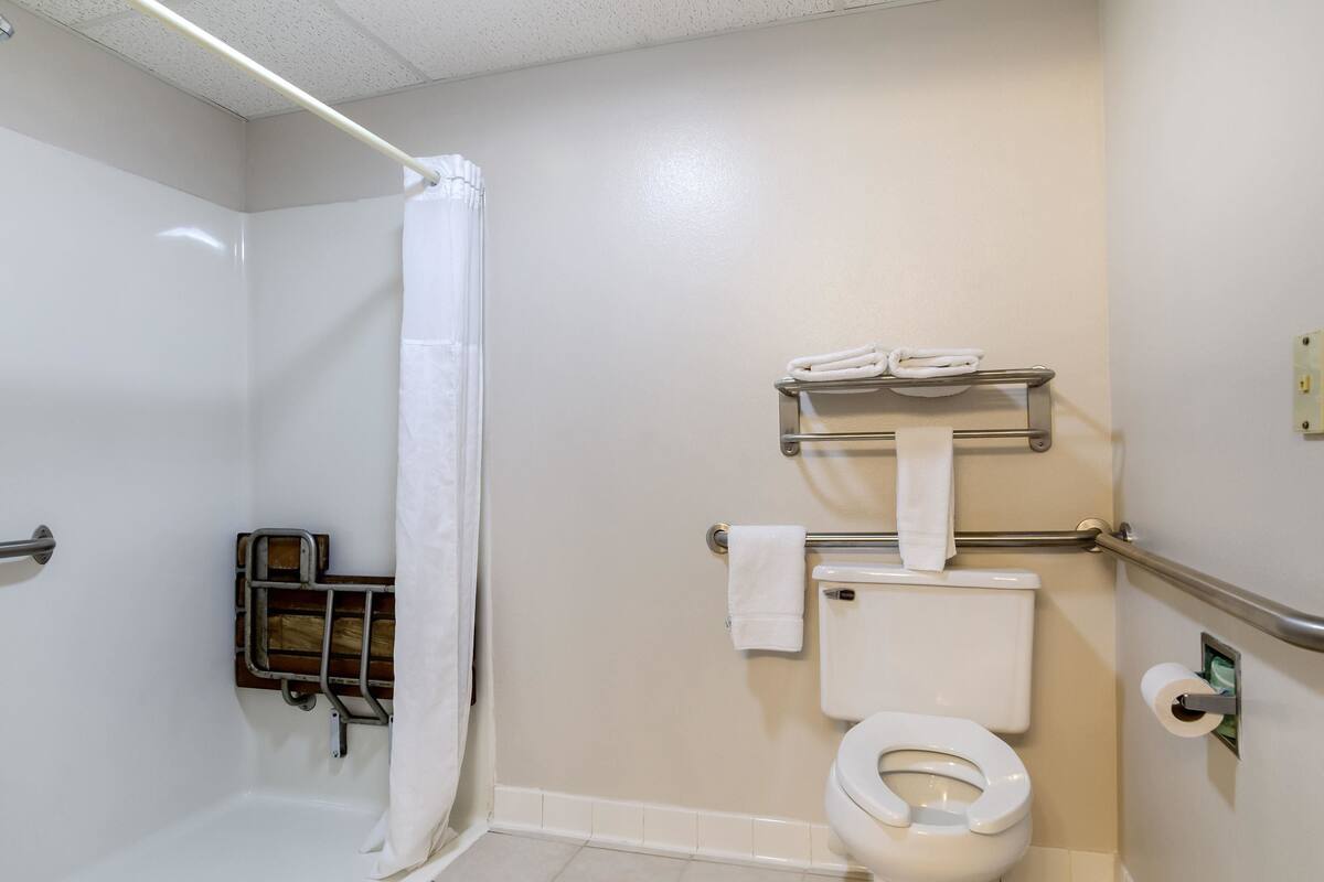 A bathroom with a shower, toilet, and towel rack.