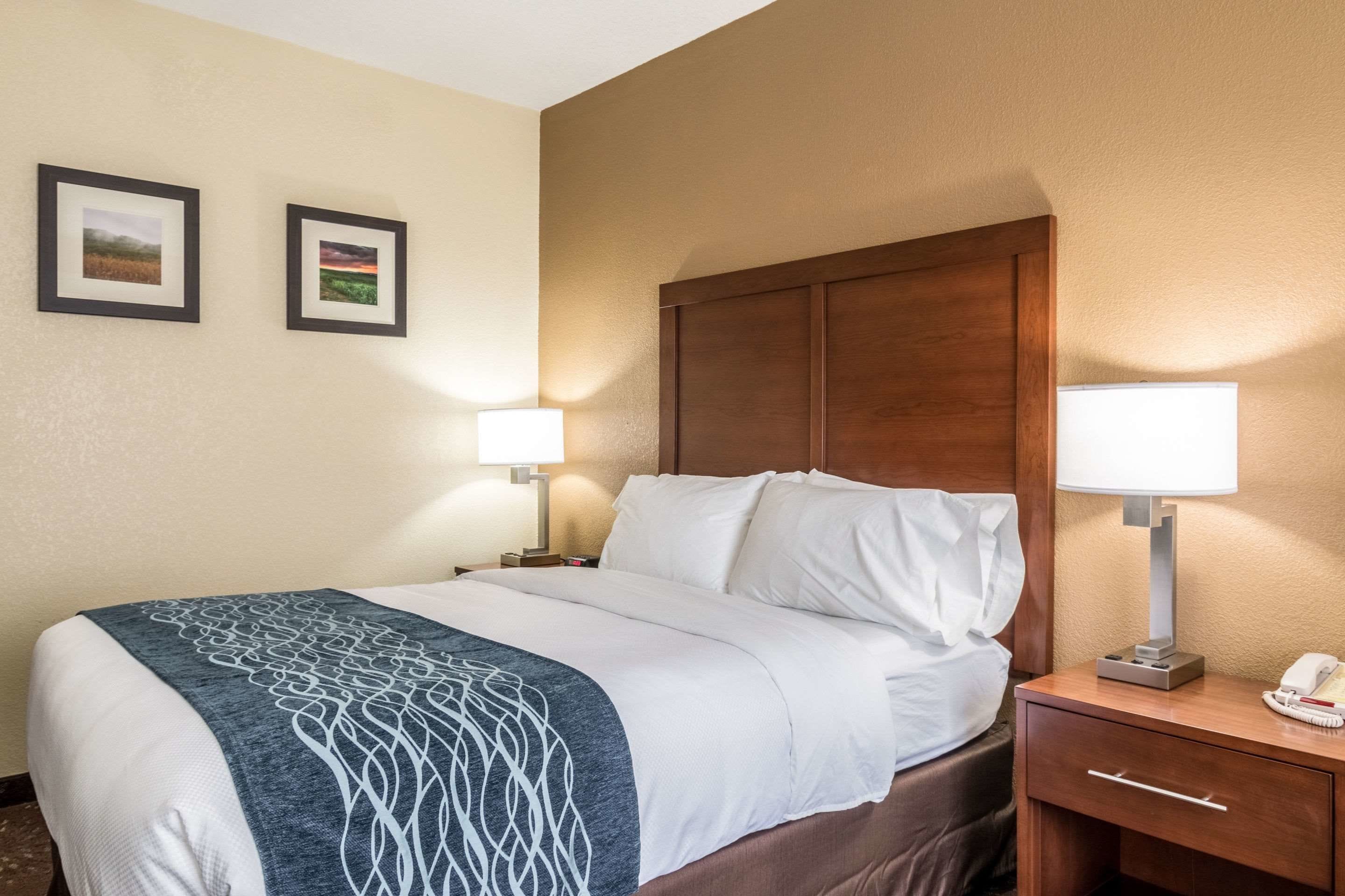 A hotel room with a bed, two bedside lamps, a nightstand with a phone, and two framed pictures on the wall.