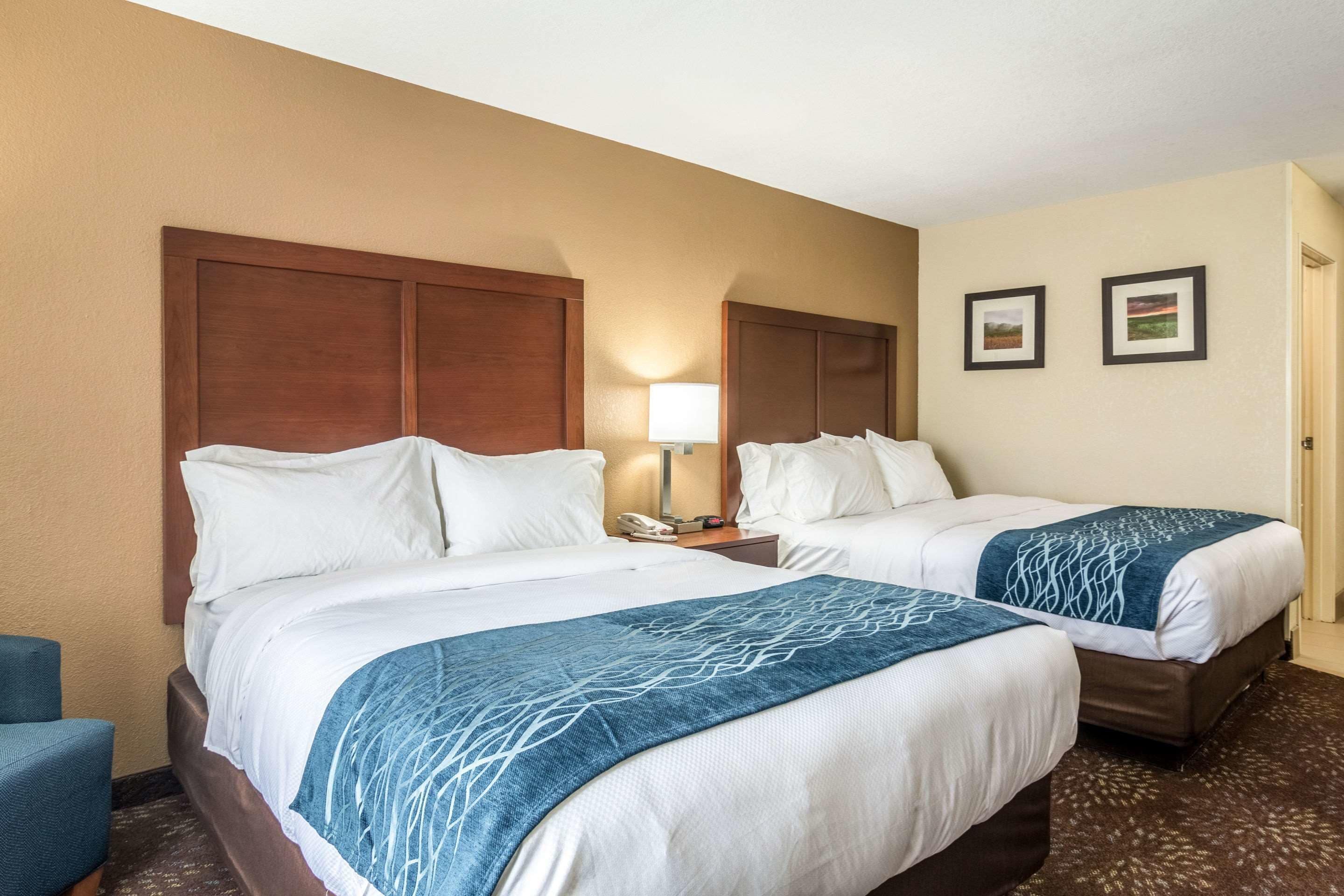 A hotel room with two beds, a nightstand with a lamp, and two framed pictures on the wall.