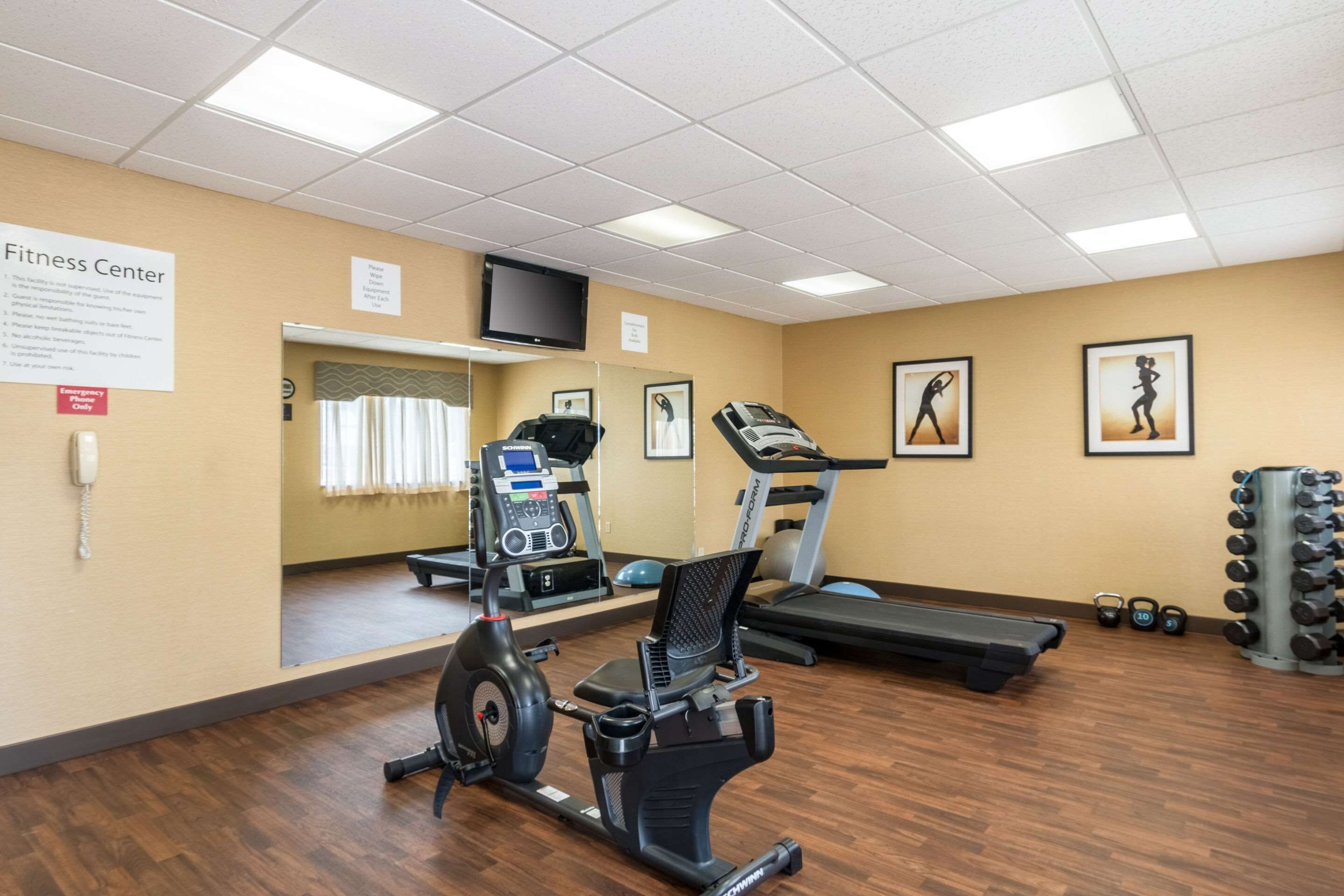 A fitness center with cardio machines, a treadmill, and weightlifting equipment.