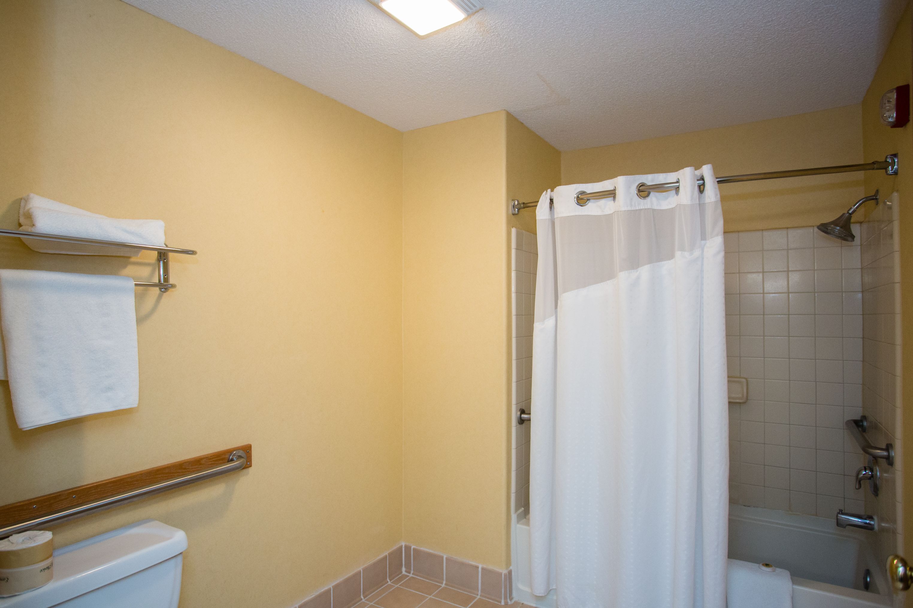 A bathroom with a shower, toilet, and towel rack.